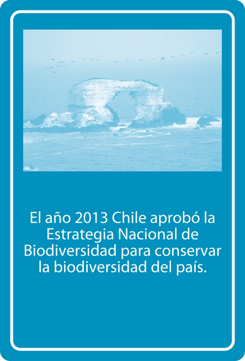 Portada Reverso